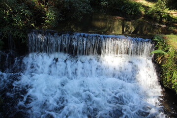 Cascata , água e natureza, mindfullness