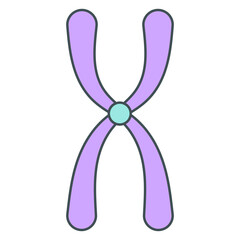 chromosome