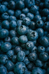 Macro shot of fresh blueberries. The close-up highlights the texture and details of the berries, showcasing their deep blue color and natural imperfections