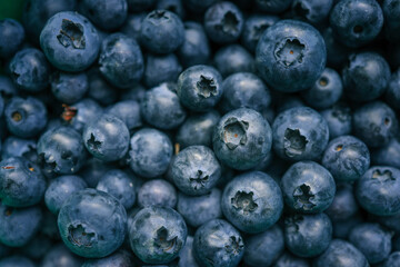 Macro shot of fresh blueberries. The close-up highlights the texture and details of the berries, showcasing their deep blue color and natural imperfections