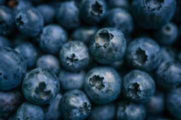 Macro shot of fresh blueberries. The close-up highlights the texture and details of the berries, showcasing their deep blue color and natural imperfections
