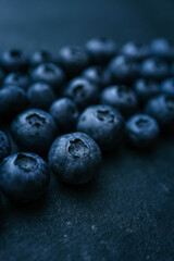Blueberries background. Blueberry border design. Ripe and juicy fresh picked bilberries close up. Copyspace for your text
