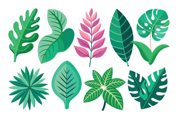 Fototapeta premium Collection of Diverse Green Tropical Leaves and One Pink Flower