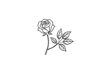 Rose flower for design element and coloring book pages for kids