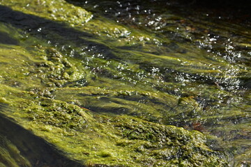 landscape with mountains