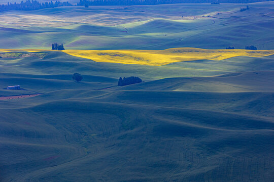 dramatic rolling hills of green fields of farm lands  in Palouse ,Washington