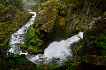 The Van Trump Creek flowing below Christine Falls in Mount Rainier National Park, Washington.
