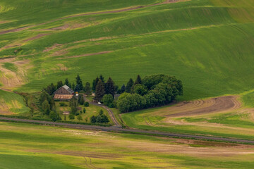 dramatic rolling hills of green fields of farm lands  in Palouse ,Washington