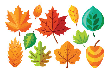 Collection of Colorful Autumn Leaves in Various Shapes and Sizes