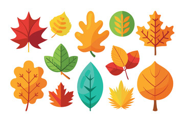 Colorful Autumn Leaves Collection in Flat Design