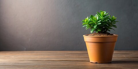 A green plant thriving in a small brown pot, botanical, indoor, gardening, lush, potted plant, greenery, succulent