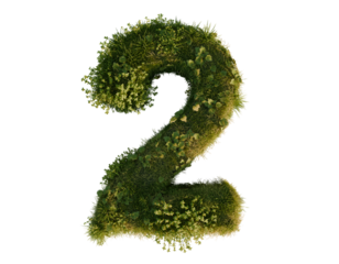 Flower number two on a transparent background. 3D rendering. 
