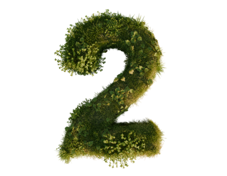 Flower number two on a transparent background. 3D rendering. 
