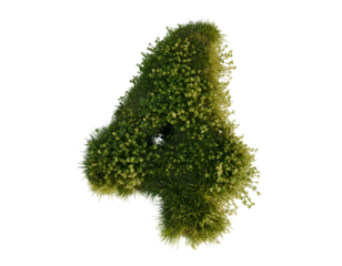 Flower number four on a transparent background. 3D rendering. 
