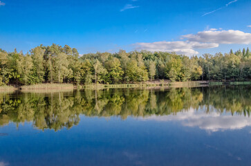 Fototapeta premium Seenlandschaft am Lienewitzsee
