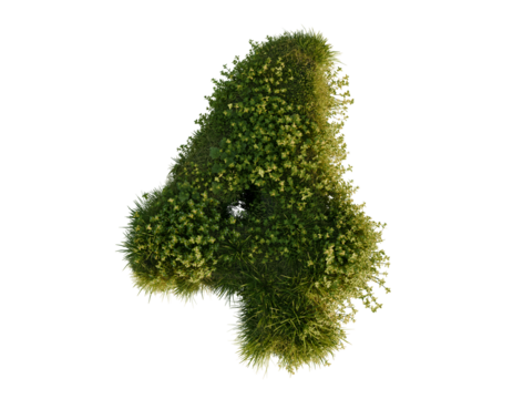 Flower number four on a transparent background. 3D rendering. 
