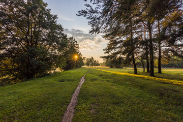 A path through a park with trees and a sun shining through the trees