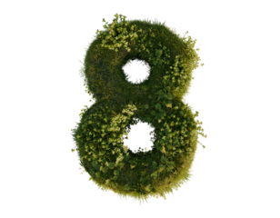 Flower number eight on a transparent background. 3D rendering. 
