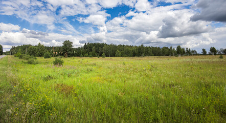 Obraz premium A large field of grass with a few trees in the background