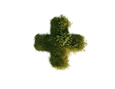 Green Grass Plus Sign Isolated on transparent background. 3D rendering.