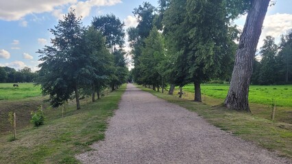 Oginsky Estate, Museum in Belarus.
