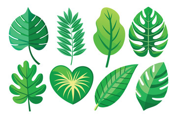 Fototapeta premium Collection of Colorful Tropical Leaf Illustrations
