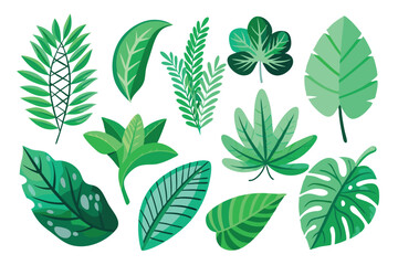 A Collection of Green Tropical Leaves Isolated on White