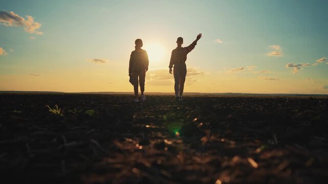 Two women agronomist walking on agricultural fields in sunrise, organic farming. Agribusiness and professional horticulturalists, growing cereals for food industry, back view of pair of farm workers
