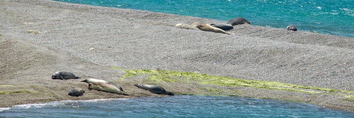 Caleta valdes landscape, peninsula valdes, chubut, argentina
