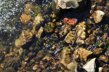 stones in water