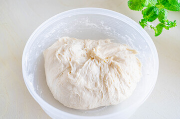 チャパタのまとまった生地