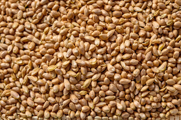 Fototapeta premium Stack of Wheat Grains Prepared for Processing with Fine Details and Vibrant Textures
