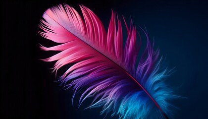 Obraz premium pink feather on black background