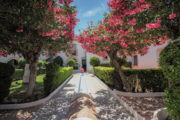 Spanish gardens, full of colorful plants, fragment, town of San Pedro near Marbella, Andalusia, Spain