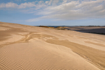 Dune fragment, Łeba, Poland, Słowinski National Park nature reserve, created on January 1, 1967 and covers an area of ​​327.44 km². The central part of the Polish coast, in the Pomeranian Voivodeship.