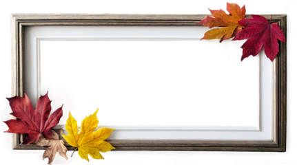 Wooden photo frame withAutumn coloured leaves isolated on transparent background, seasonal decorations, fall