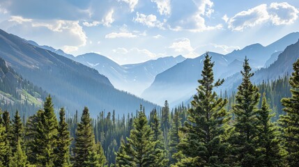 Mountainous Landscape with Coniferous Trees