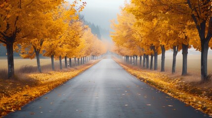 A misty road lined with vibrant golden trees in autumn. The fallen leaves add a touch of magic to the scene.