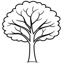 Tree silhouette with white background