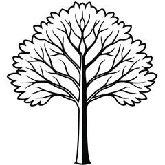 Tree silhouette with white background