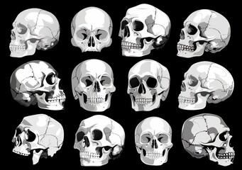 The skull silhouette is hand drawn on black background with a modern style.