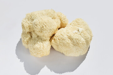 Lion's Mane Mushroom on White