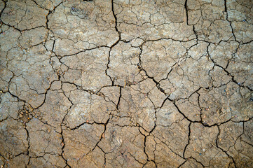 dry,parched earth in the field
