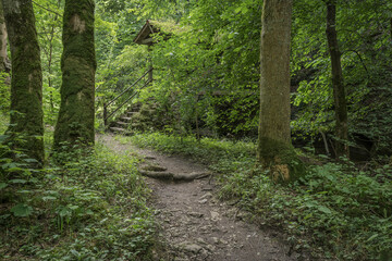 Obraz premium passage route over a little german river