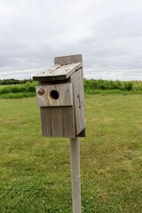 A close view of the old wood birdhouse in the field.