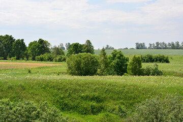 a field with a view of the countryside