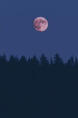 Naklejka premium mystical scene featuring a full moon rising above a dense forest