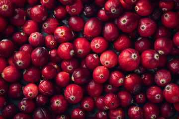 Fresh cranberries, pattern, top view