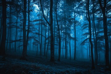 Obraz premium Fog in a Springa forest. Beautiful natural scenery. Vintage style