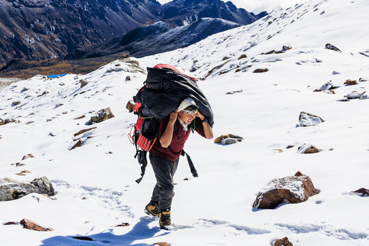 Nepalese Porter carrying heavy loads in the Himalayas, shortly before reaching Lumba Sumba Pass (5,159 m) (aka Lumbha Sambha) in the Kanchenjunga Conservation area Nepal